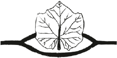 Logotipo de Entre Os Ríos
